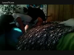 On a sofa, the little furry brother drilled a girl.